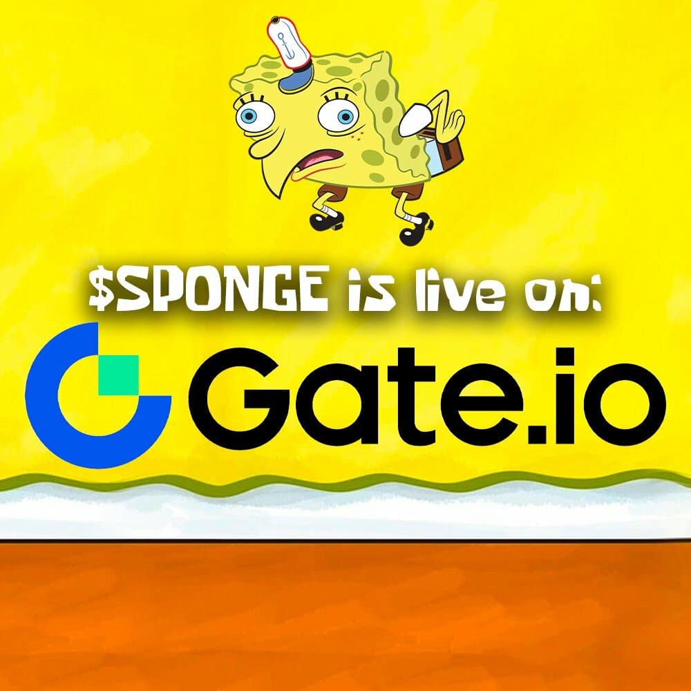 Sponge