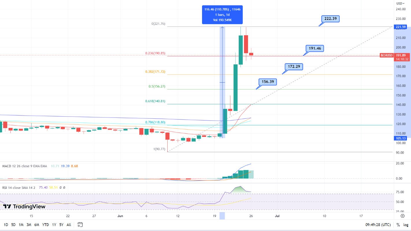 Bitcoin Cash