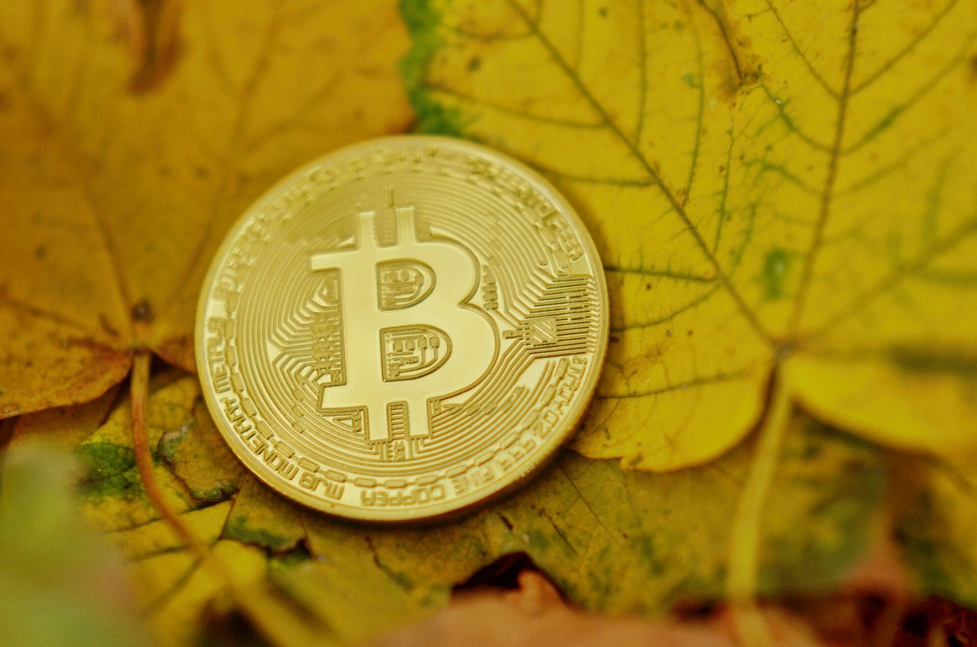 BTC