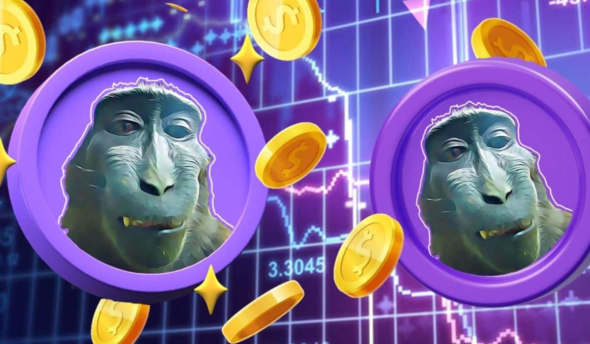 Meme Coin