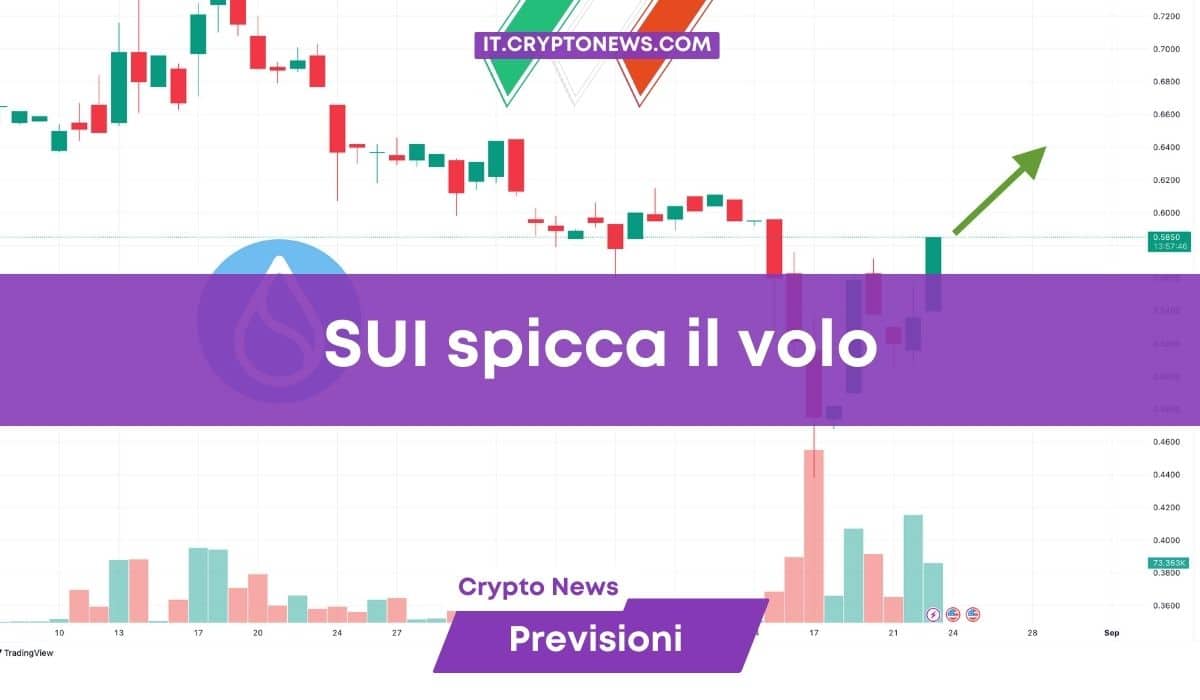 Sui