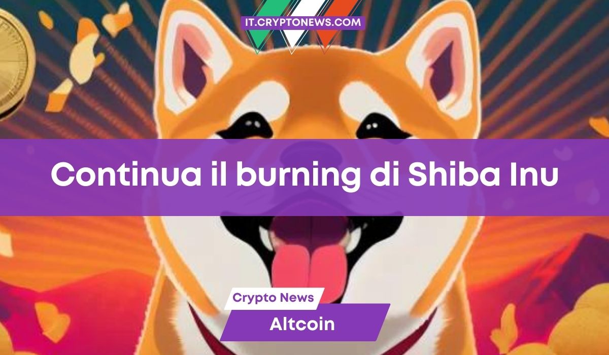 Shiba Inu