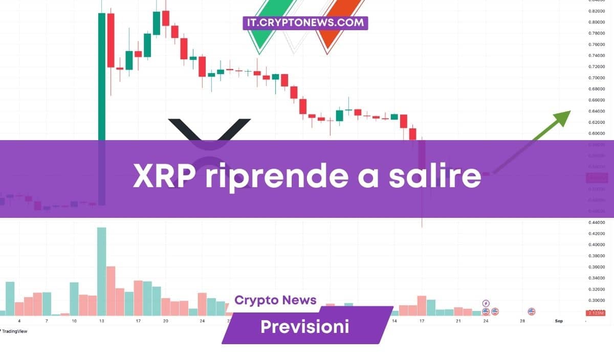 XRP