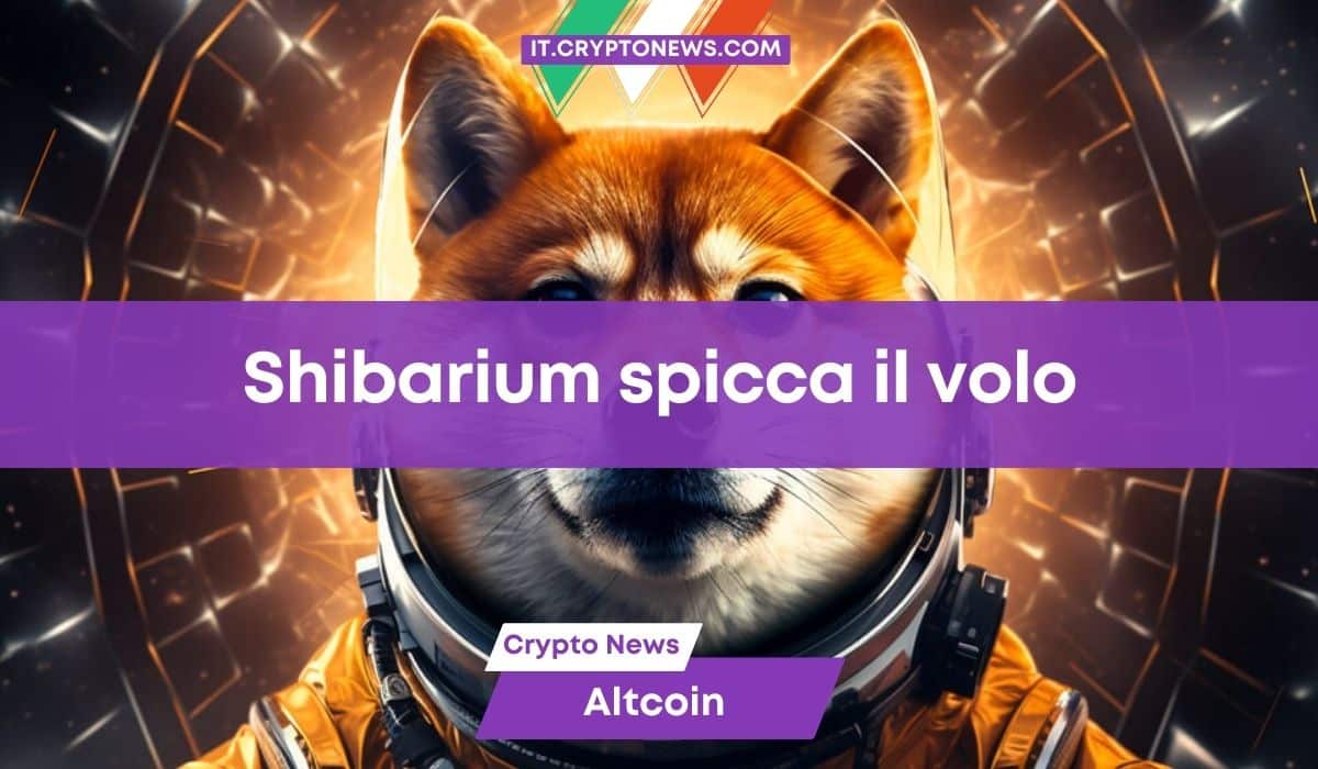 Shibarium