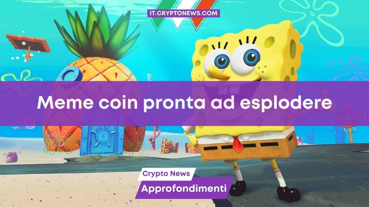 Meme coin