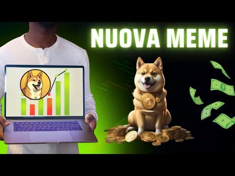 Dogecoin20 Recensione Completa – Nuova Memecoin