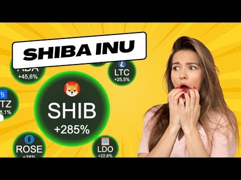 Shiba Inu + 300% | sarà la Prossima CRYPTO a decollare?