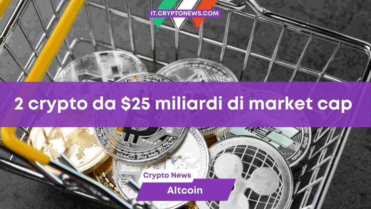 2 crypto da $25 miliardi di market cap