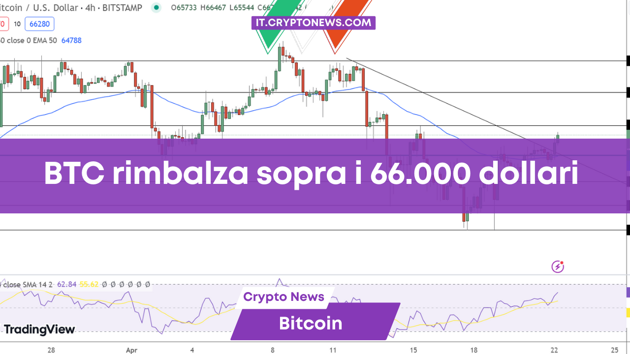 BTC rimbalza sopra i 66.000 dollari