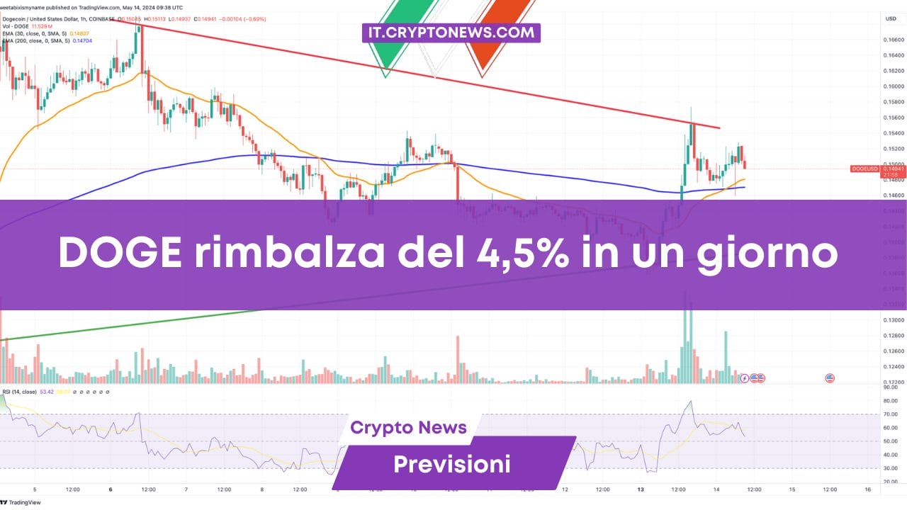 DOGE rimbalza del 4,5% in un giorno