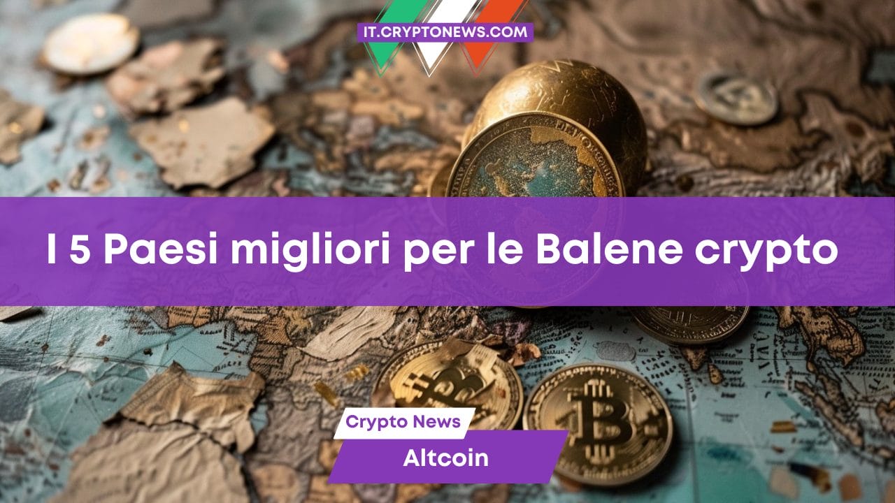 I 5 Paesi migliori per le Balene crypto