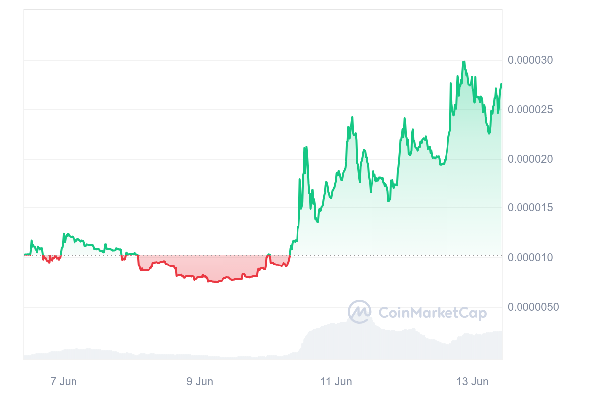 Meme Coin