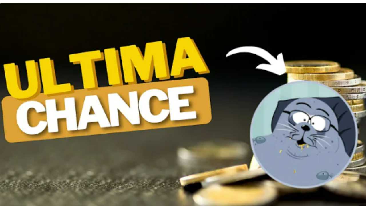 Ultima chance prima del lancio!! Sealana update
