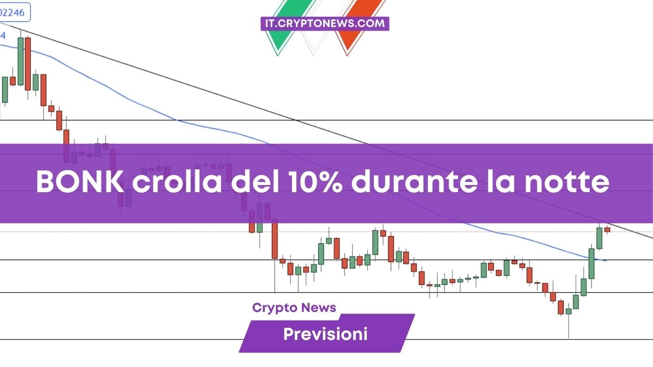 BONK crolla del 10% durante la notte
