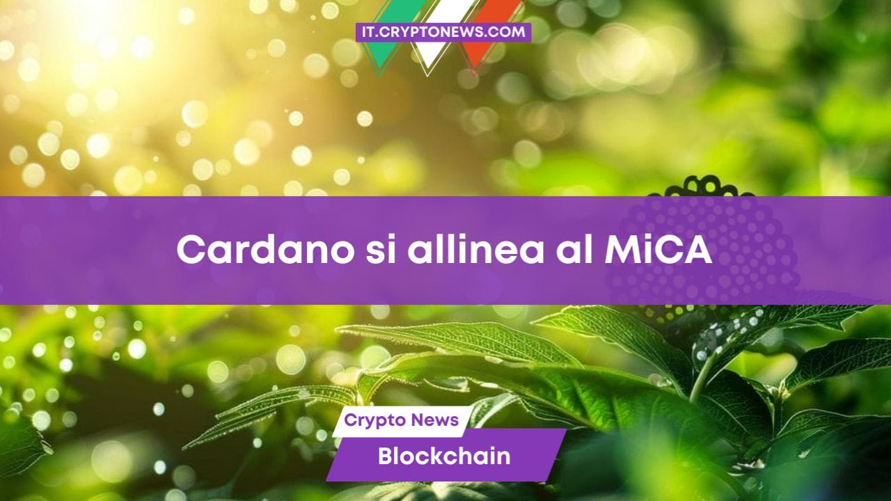 MiCA