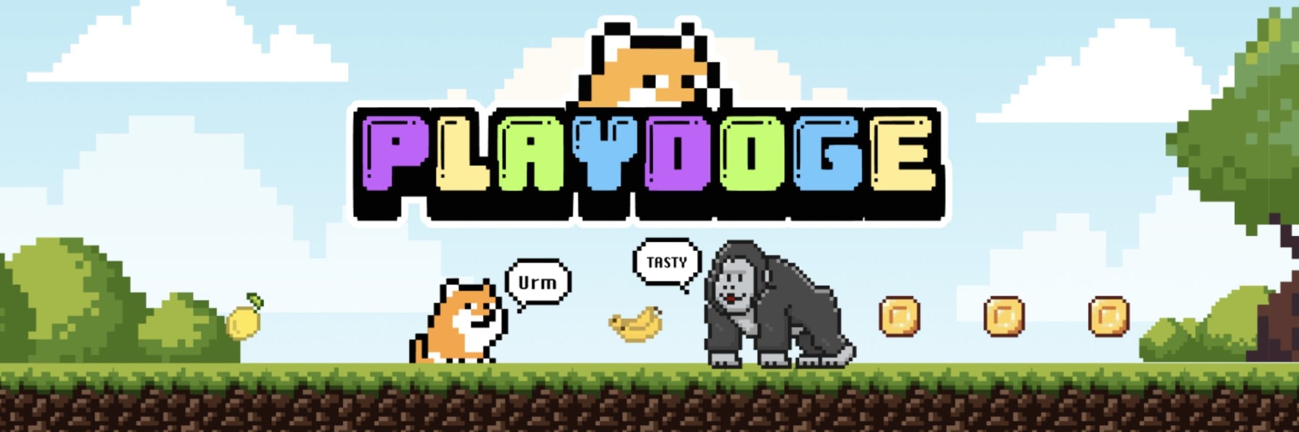 PLaydoge