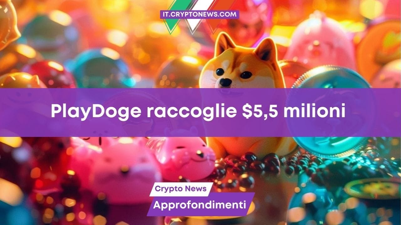 PlayDoge