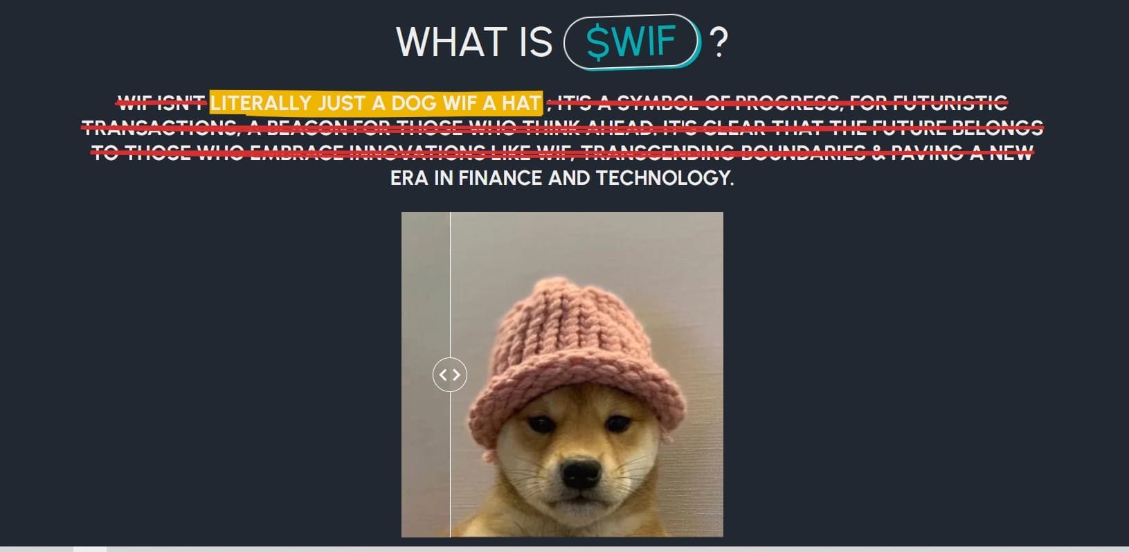 Meme Coin