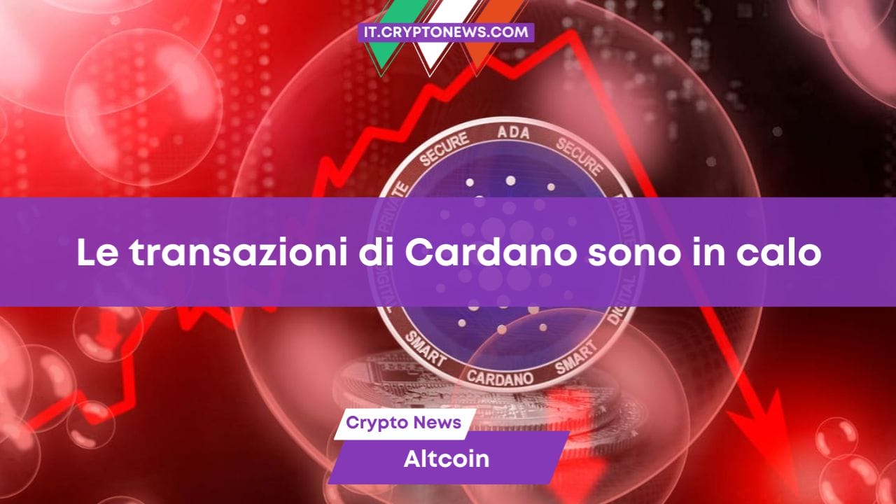 Le transazioni di Cardano sono in calo