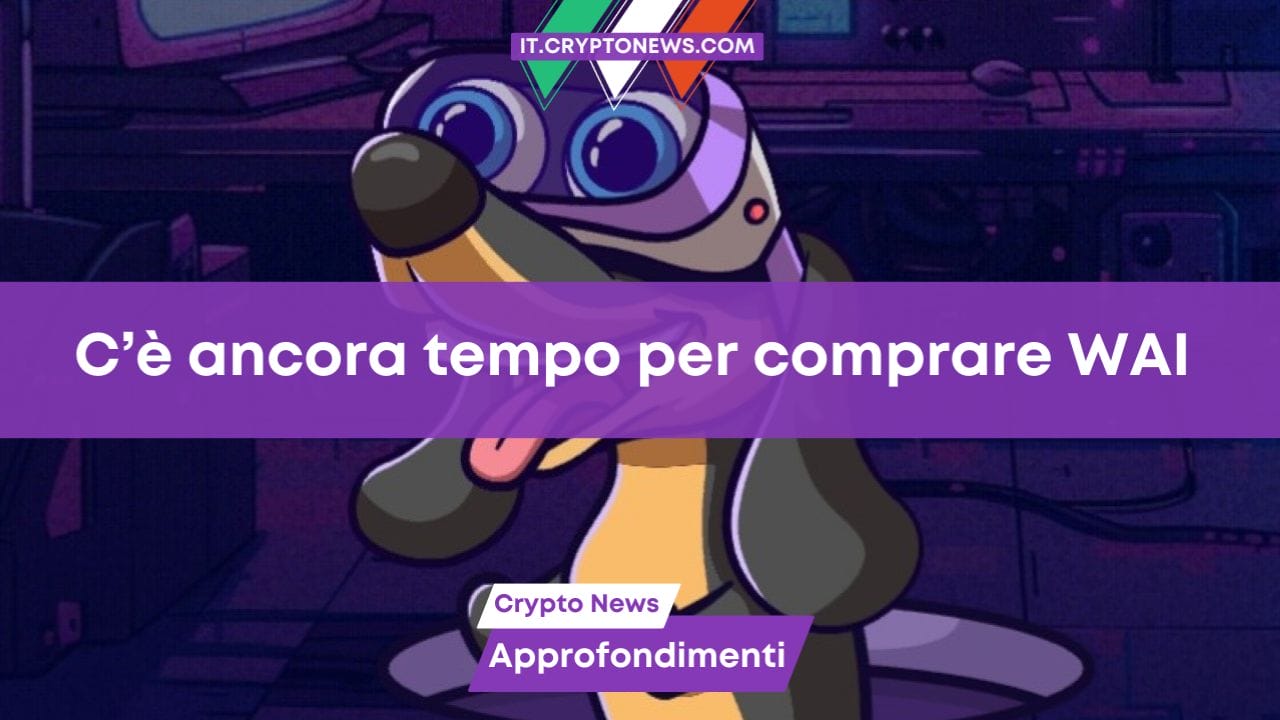 C’è ancora tempo per comprare WAI