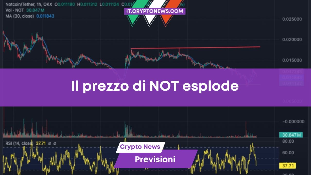 Il prezzo di NOT esplode