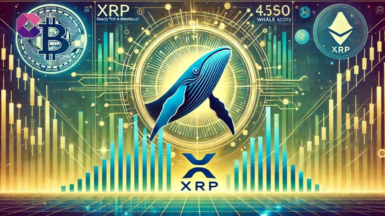 XRP è pronto per il breakout? L'attività delle balene indica un potenziale rialzo