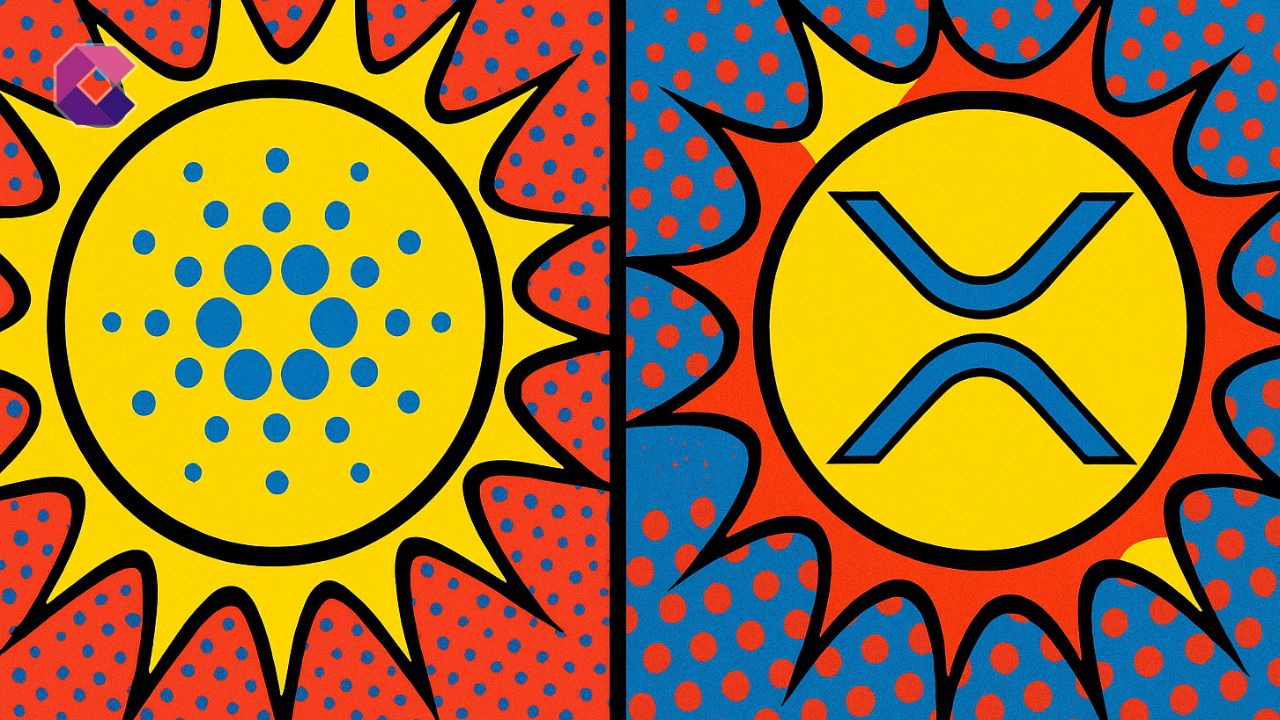 Cardano