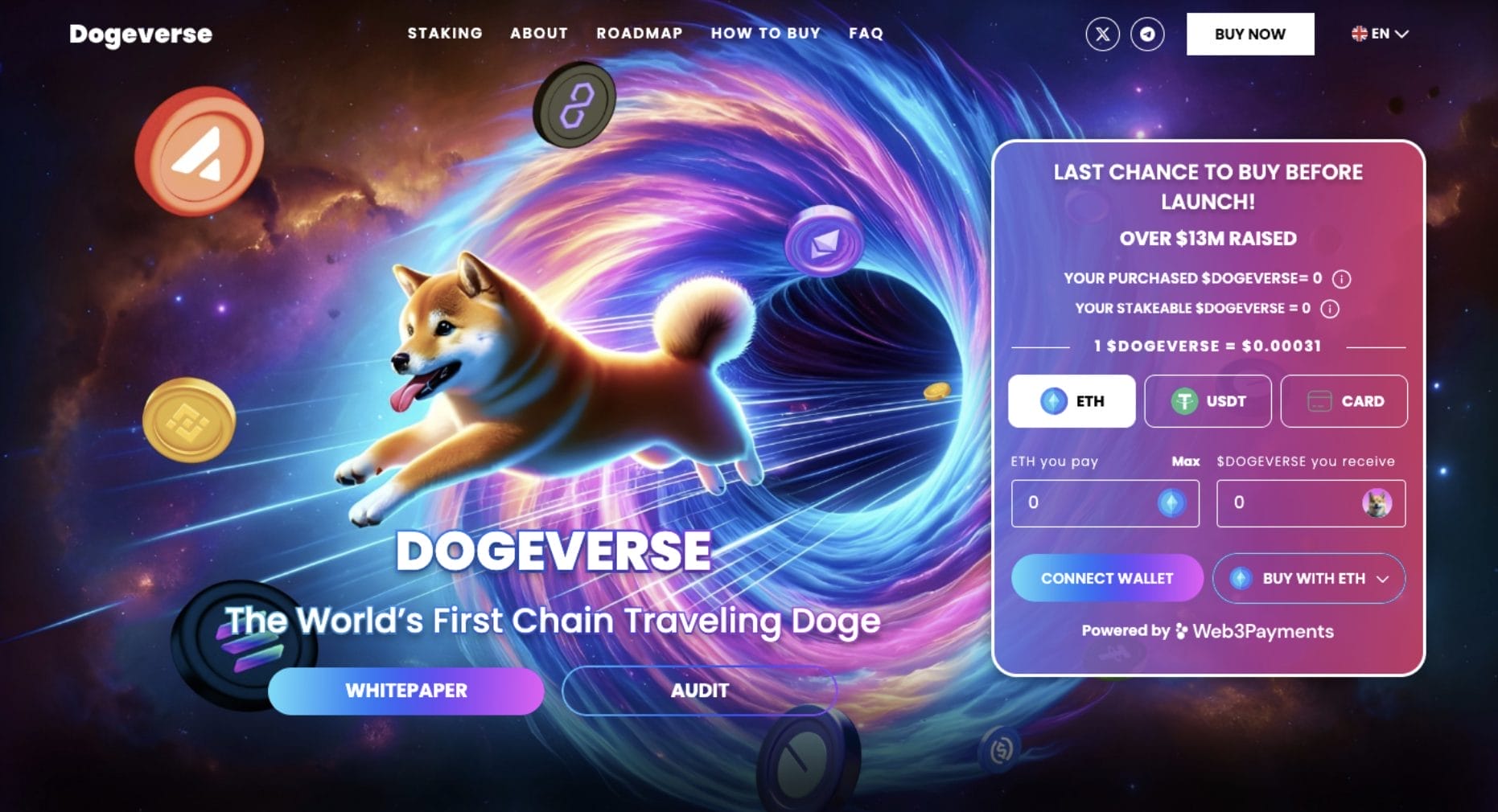 واجهة اكتتاب DOGEVERSE على موقعه الرسمي 