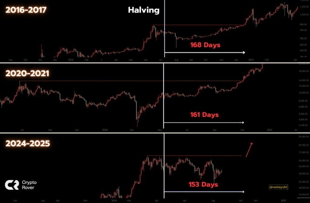 مخططات بيانية لدورات سوق بيتكوين الصاعدة عقب أحداث التنصيف السابقة، المصدر: CryptoRover/X