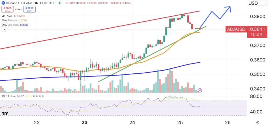 مخطط بياني لسعر عملة كاردانو - المصدر: Tradingview