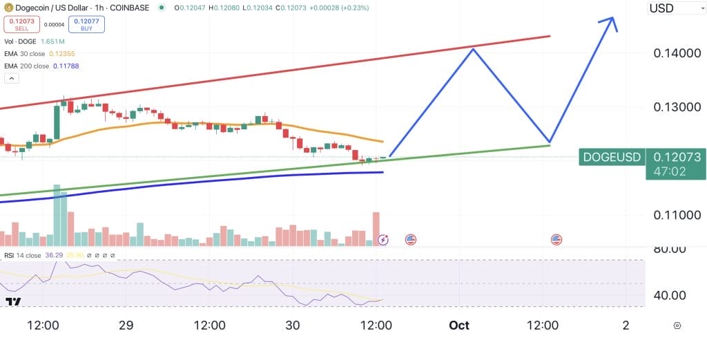 المخطط السعري لزوج DOGE/USD - المصدر: TradingView