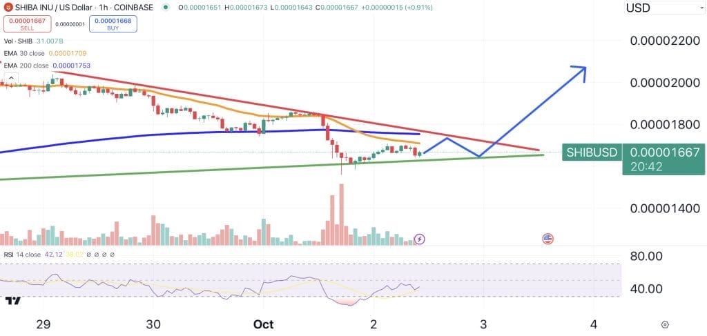 مخطط بياني لسعر زوج SHIB/USD، المصدر: Tradingview